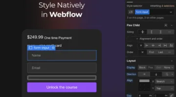 How to Set Up Payment Gateways in Webflow (Step-by-Step for Beginners)