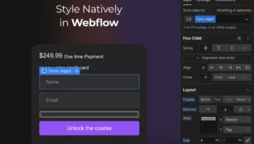 How to Set Up Payment Gateways in Webflow (Step-by-Step for Beginners)