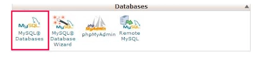 MySQL Database