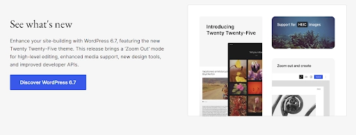 WordPress website download